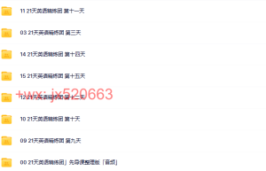 正式课程（在线播放）