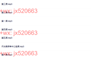 746.丹冰奥修禅卡课程（网盘课程）