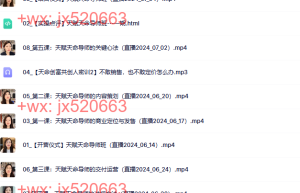 778杨帆老师 天赋天命导师班课程（百度网盘下载）