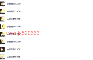29、李中莹社会集体性创伤辅导课程（网盘课程）