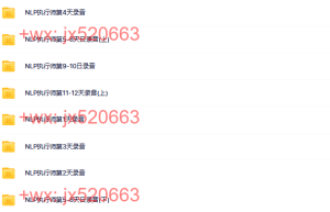 NLP执行师课程（网盘播放）
