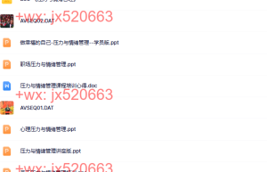 10、李中莹-NLP压力与情绪管理 李中莹课程（网盘播放）