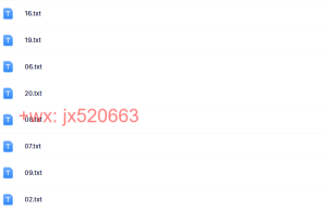 txt课程（网盘观看）