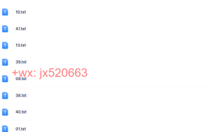 txt课程（网盘播放）