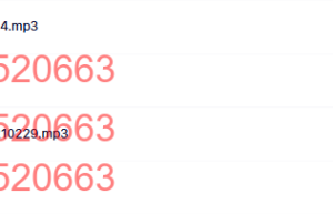 2010自然创富班录音课程（百度网盘在线观看）