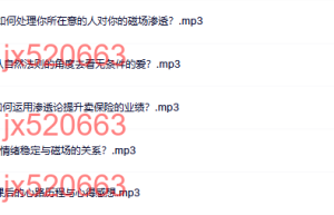 磁场渗透 Q&A2课程（在线下载）