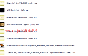 翻身点金术课程（百度网盘在线观看）
