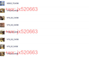VIDEO_TS课程（网盘观看）