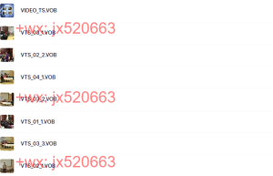 VIDEO_TS课程（网盘播放）