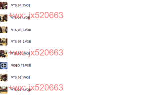 VIDEO_TS课程（百度网盘课程）