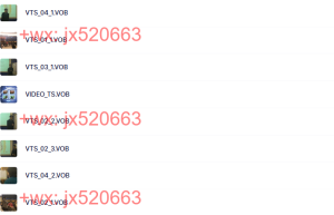 VIDEO_TS课程（百度网盘在线观看）
