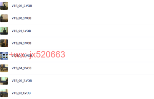 VIDEO_TS课程（百度网盘课程）