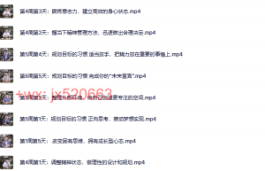110积极心理课：重新发现自己，活出想要的未来（完结）课程（百度网盘在线下载）