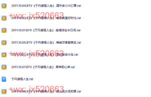 于丹感悟人生RAR课程（在线观看）