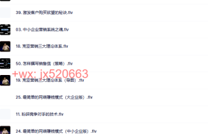 第26部分：营销军火库（56节）课程（网盘播放）