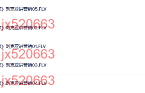 第31部分：我是演说家（5节）课程（百度网盘观看）