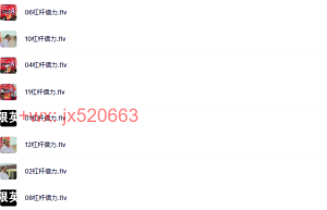 第08部分：杠杆借力（12节）课程（在线下载）