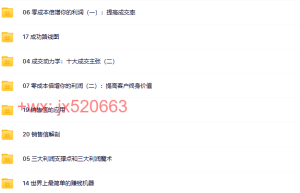 第01部分：营销魔术（79节）课程（在线播放）