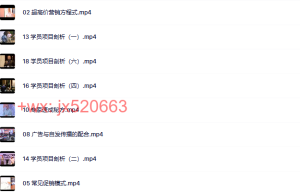 第07部分：超高价营销（18节）课程（网盘下载）