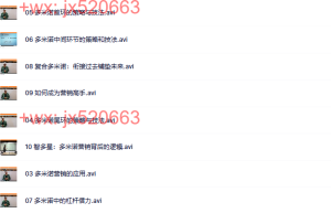 第10部分：多米诺营销（10节）课程（网盘观看）