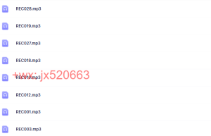 录音课程（百度网盘观看）