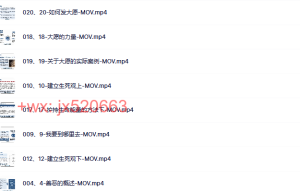 857. 觉醒资料库猫教授 智慧锦囊课程（在线观看）