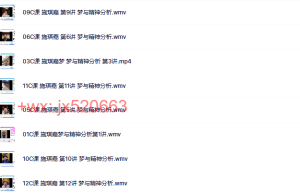 录像施琪嘉2016-2017 课C–梦与精神分析案例实操课程（百度网盘观看）