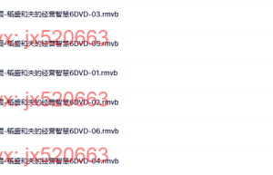 04 王育琨-稻盛和夫的经营智慧6DVD课程（百度网盘在线下载）