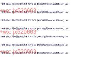 03 曾伟-良心：阿米巴经营的灵魂》 7DVD课程（在线观看）