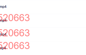 06 胡八一-中国式阿米巴 4DVD课程（网盘观看）