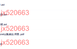 赠品三、惊天吸引力法则课程（网盘播放）