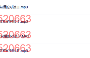 08（音频）2017年12月达照法师与刘丰老师-探索生命实相的对谈-【4集】课程（百度网盘在线观看）