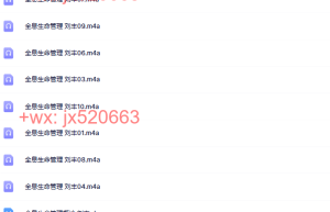 11（音频+文字）刘丰全息生命管理 北京【11集】课程（在线播放）