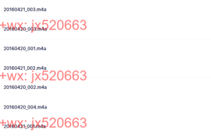 09（音频）刘丰2016年4月20日【7集】课程（百度网盘在线下载）