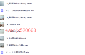 677光之旅 手绘曼陀罗课课程（网盘下载）