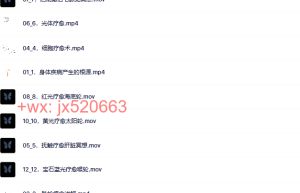 R若一｜显化健康&提升能量课程（在线播放）