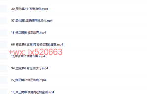 R若一｜修正&显化课程（网盘下载）