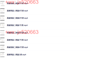 真爱训练营第二期正课课程（网盘播放）