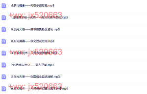 显化真爱训练营第二期冥想实修课程（网盘课程）