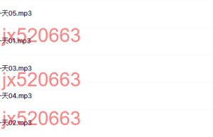 高级隐喻第一天课程（百度网盘课程）