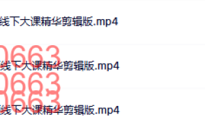 779-2024李欣频线下大课精华剪辑版(视频课+直播答疑)课程（在线观看）