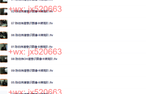 325.觉醒书院公众号、陈伯炜OH潜意识图像卡牌高阶课程视频课程（百度网盘观看）