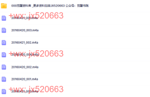09（音频）刘丰2016年4月20日【7集】课程（网盘课程）