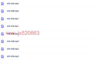 宗萨仁波切 止的修行课程（在线播放）