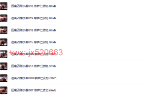 远离四种执着 宗萨仁波切1200rmvb课程（网盘观看）