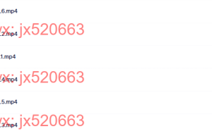 691生命能量管理师培训营（第一期）课程（在线下载）