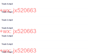 梵唱一C阿彌陀佛课程（百度网盘在线下载）