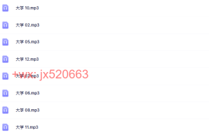 大学课程（网盘课程）