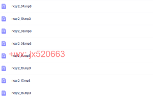 南禅七日 mp3课程（在线观看）