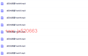 《成功与致富》课程（百度网盘课程）